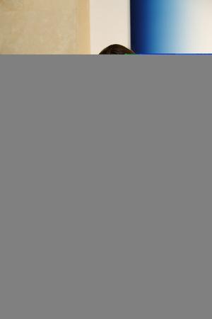 Original 2000 px/ 3000 px