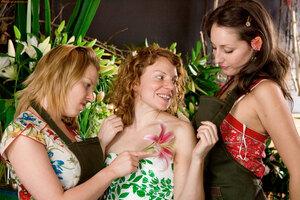 Original 3504 px/ 2336 px