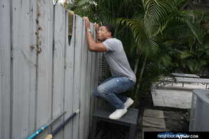 Original 2500 px/ 1670 px