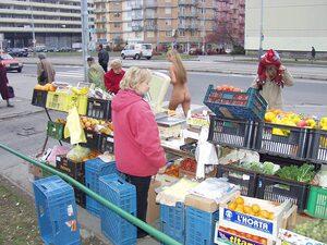 Original 1024 px/ 768 px