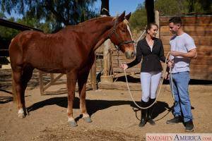 Original 2500 px/ 1667 px