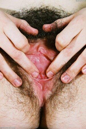 Original 683 px/ 1024 px