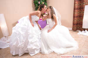 Original 2500 px/ 1666 px