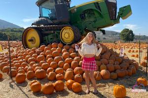 Original 3000 px/ 2000 px