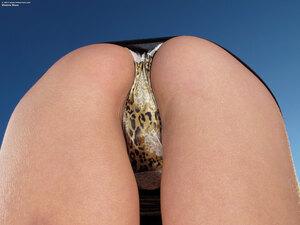 Original 2400 px/ 1800 px