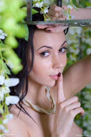 Original 3337 px/ 5000 px