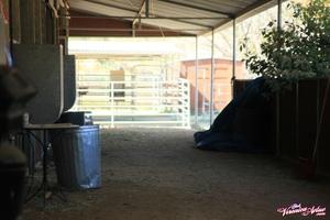 Original 1600 px/ 1066 px