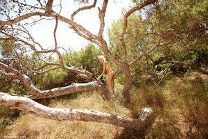 Original 3000 px/ 2000 px