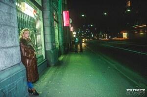 Original 3133 px/ 2079 px