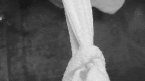 Original 400 px/ 224 px