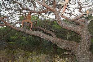 Original 5760 px/ 3840 px