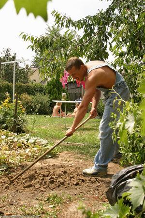 Original 1024 px/ 1536 px