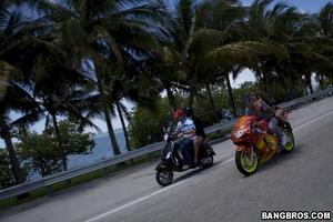 Original 800 px/ 533 px