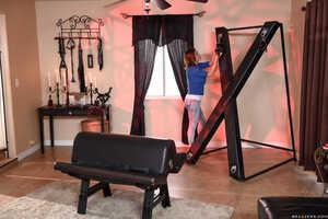 Original 2491 px/ 1663 px