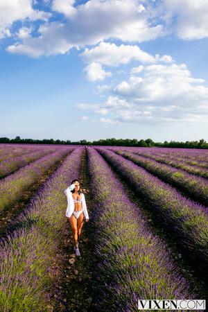 Original 2000 px/ 3000 px