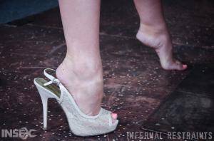 Original 1200 px/ 795 px