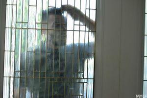 Original 1619 px/ 1080 px