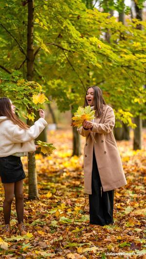 Original 3376 px/ 6000 px