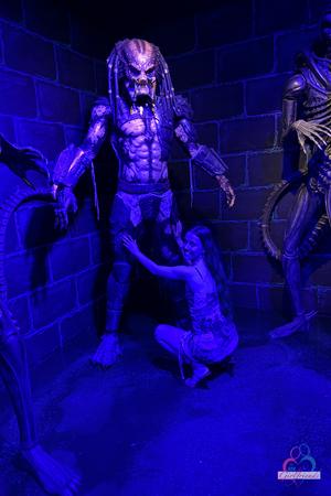 Original 2000 px/ 3000 px