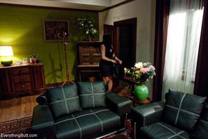 Original 1200 px/ 800 px