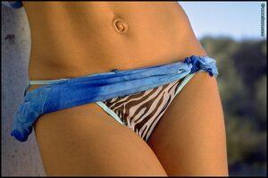 Original 800 px/ 530 px