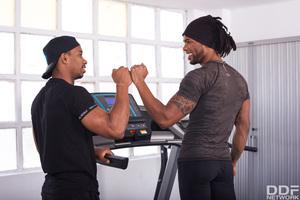 Original 4000 px/ 2667 px