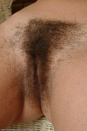 Original 684 px/ 1024 px