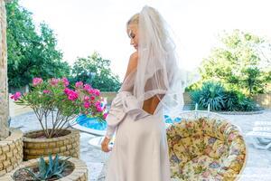 Original 6000 px/ 4000 px