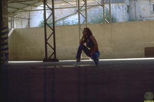 Original 1536 px/ 1020 px