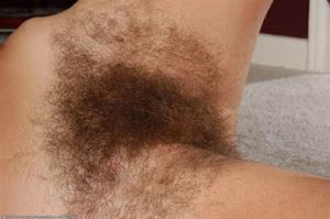 Original 1024 px/ 680 px