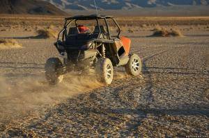 Original 2495 px/ 1663 px