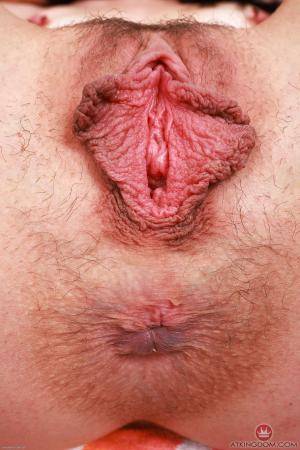 Original 2000 px/ 3000 px