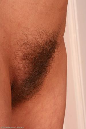 Original 1024 px/ 1536 px