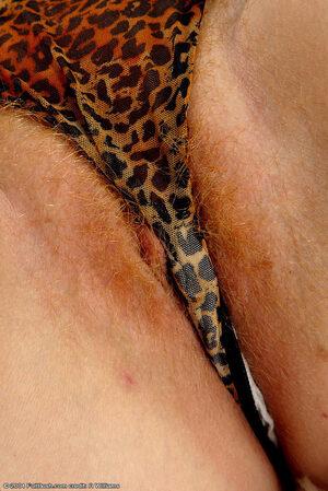 Original 684 px/ 1024 px