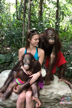 Original 2000 px/ 3000 px