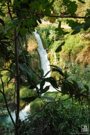 Original 2592 px/ 3872 px