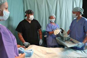 Original 2500 px/ 1667 px