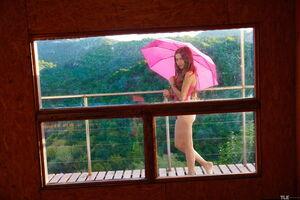 Original 6000 px/ 4000 px