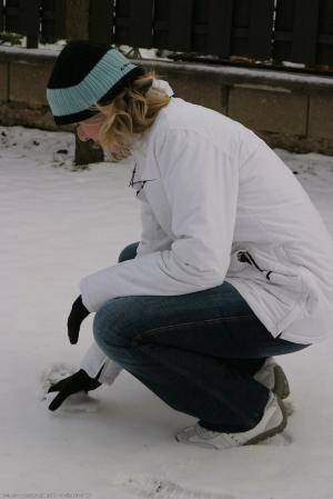 Original 854 px/ 1280 px