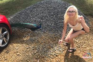 Original 3000 px/ 2000 px