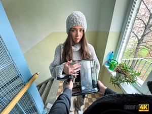 Original 4090 px/ 3068 px