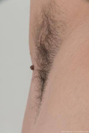 Original 854 px/ 1280 px