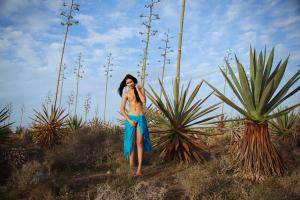 Original 4324 px/ 2883 px