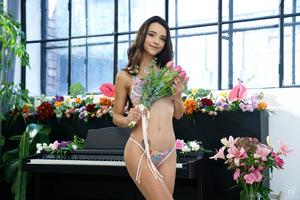 Original 7952 px/ 5304 px