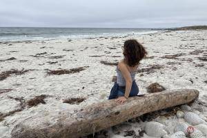 Original 3000 px/ 2000 px