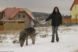 Original 1536 px/ 1024 px