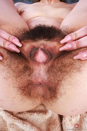 Original 2000 px/ 3000 px