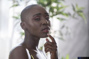 Original 2160 px/ 1441 px