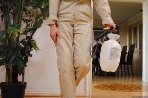 Original 2484 px/ 1663 px