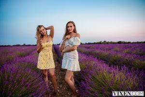 Original 3000 px/ 2000 px